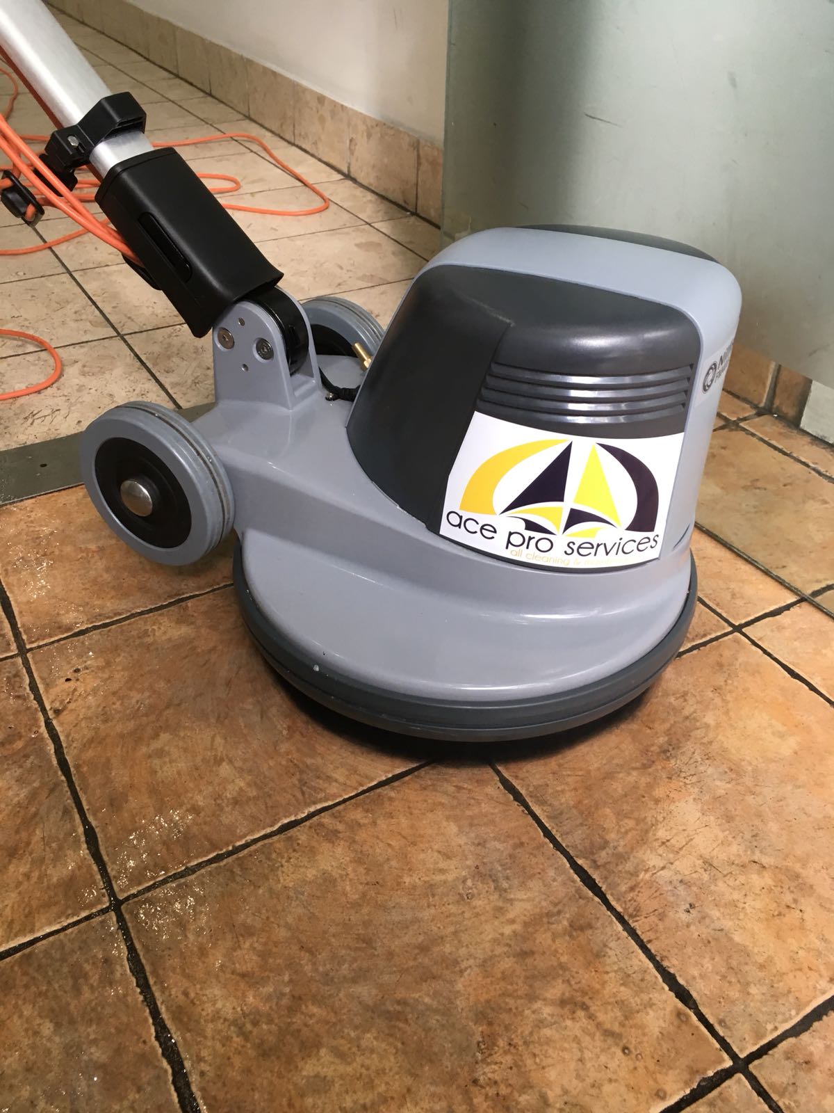 Ace Pro Services